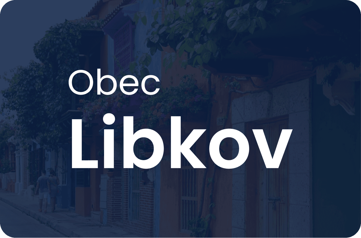 Náhled webu obce Libkov